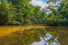Tortuguero National Park